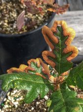 20180630-1719.jpg