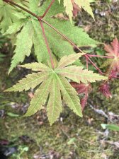 4BE048DA-6525-41DF-B192-8A19749EFF86.jpeg
