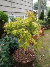 2018-10-10 12.49.47 SK4.jpg