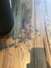 792629E8-288D-4D0A-BCE9-0915F9928DF3.jpeg