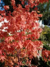 2018-10-23 11.51.54.jpg