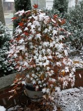 2018-11-15 13.56.40 Ry.jpg