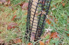 DSC_0004.JPG