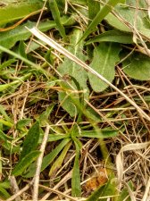 IMG_20181209_154151.jpg