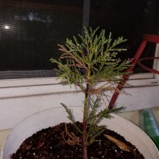 20181215_105158.jpg