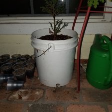 20181217_165836.jpg