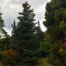 ED37C304-175D-4E9E-BD35-E73A2B119593.jpeg