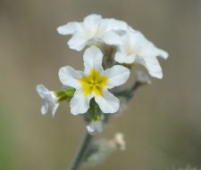DSC_0156.jpg