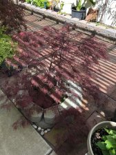 20190413_215142466_iOS.jpg