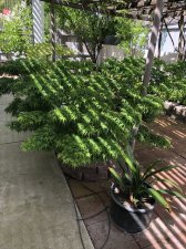 20190413_215152089_iOS.jpg