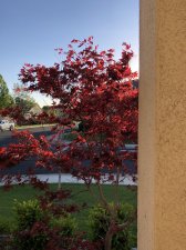 20190410_013335991_iOS.jpg