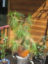 IMG_7061.JPG