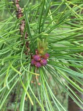 IMG_5824.jpeg