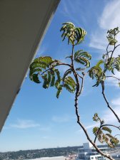 20190611_171116.jpg