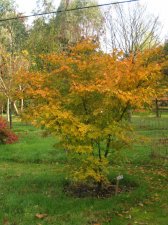 IMG_3896_1.JPG