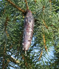 IMG_0476.jpg