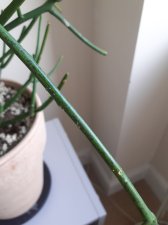 20191014_150546.jpg