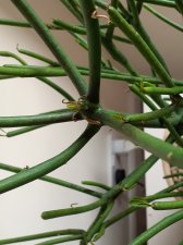 20191015_113850.jpg