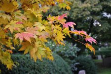 IMG_3998.JPG