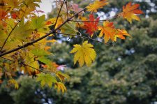 IMG_3999.JPG