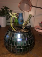 IMG_6448.jpeg