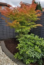 20180616_141838.jpg