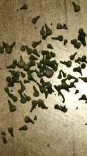 478C16DF-3201-4B4E-B667-B95009D88E0B.png