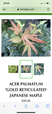 890CC410-8F42-4DFB-AFA0-EE7232B22ED9.png