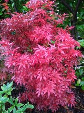 IMG_20191101_113522802.jpg