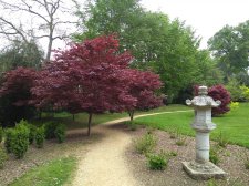 IMG_20190501_105513026.jpg