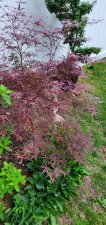 20200629_185914.jpg