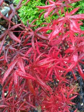 IMG_20191101_120151036.jpg