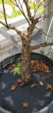 20200711_105307.jpg