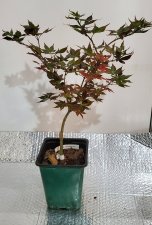 20200722_225217.jpg