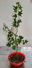 20200723_000944.jpg