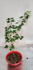 20200723_000918.jpg