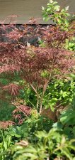 20200730_094107.jpg