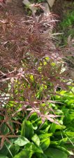 20200730_093952.jpg