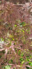 20200730_093942.jpg