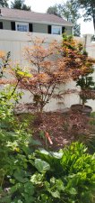 20200730_093913.jpg