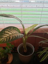 20200805_173715.jpg
