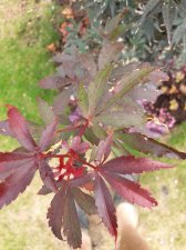 20200806_171639.jpg