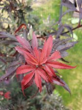 20200806_171714.jpg