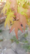 20200806_172829.jpg