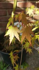 20200806_172949.jpg