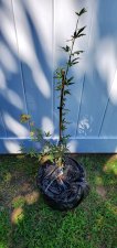 20200808_135015.jpg