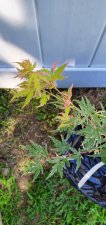 20200808_135022.jpg
