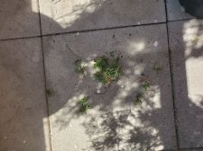20200810_142403.jpg