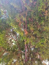 20200810_142407.jpg
