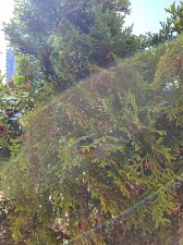 20200810_142410.jpg